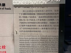 -北京周口店北京人遗址博物馆