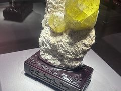 -湖南省地质博物馆