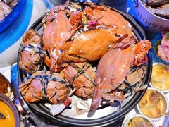 -半岛听涛蒸汽海鲜自助(K11店)