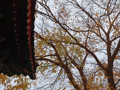 -妙应寺白塔