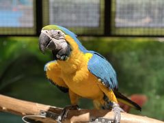 -海合安武汉极地海洋公园