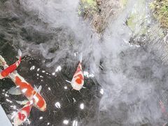 -唐河王记·南阳民间菜(国基路店)