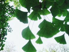 -北京石刻艺术博物馆(五塔寺)