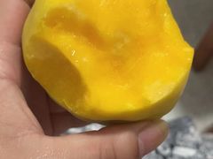 -南汇水蜜桃采摘(大团店)