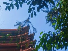 -缙云山景区