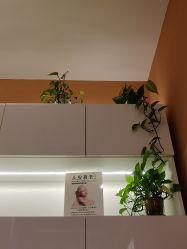 -希梵尔头皮抗衰·科技养发