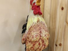 -高社长参鸡汤(高丽街店)