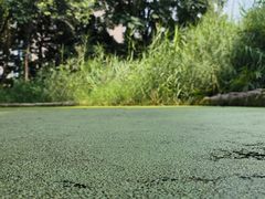 -成都市活水公园