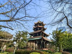 -望江楼公园