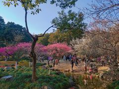 -杭州植物园