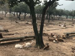 -西安秦岭野生动物园