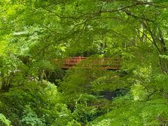 -三千院