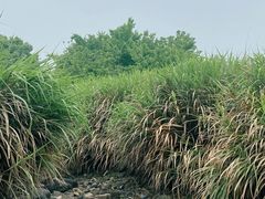 -白塘生态植物园