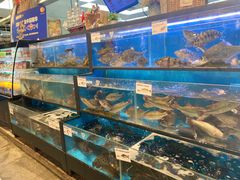 水产区-盒马鲜生(宝地店)