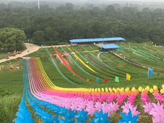 -南戴河国际娱乐中心