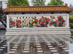 -神州牡丹园
