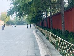 -洛阳白马寺