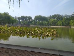 -中国农业博物馆