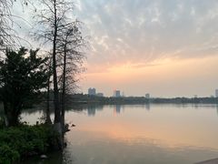 -海珠湖公园