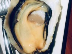 -普朗姆生蚝吧(原建国路店)