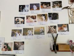 -平行世界·猫咖(首经贸店)