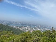 -紫金山山顶公园