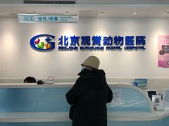 -北京观赏动物医院·24小时大型综合·猫专科·异宠专科