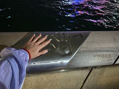 -星光大道