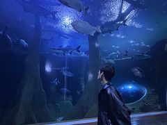 -成都浩海立方海洋公园