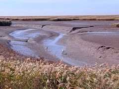 -红海滩国家风景廊道