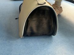 -博特宠物医院24h犬猫全科.骨科·异宠