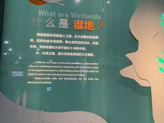 -中国湿地博物馆