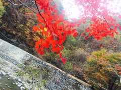 -九鼎铁刹山风景区