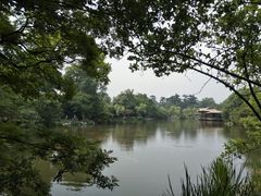 -西湖外事游船(花港观鱼码头)