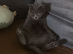 -惠宾楼老菜馆