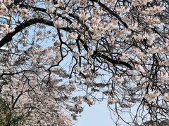 -红星桥(地铁站)