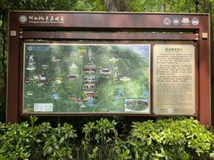 -灵谷景区