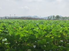-杭州西湖风景名胜区-北街寻梦