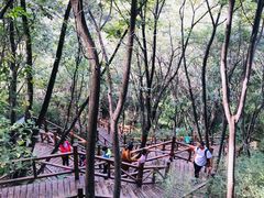 -大岭沟猕猴桃谷风景区