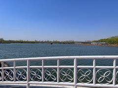 -大兴滨河森林公园