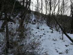 -沣峪森林公园龙潭戏水景区