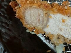 -山杏yama-katsu·吉列炸物