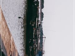 -大湾区中央湿地公园-十九涌