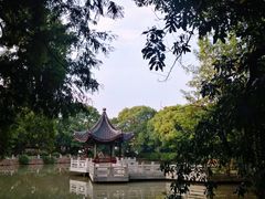 -汇龙潭