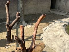 -宁波野生动物园