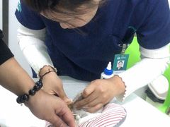 -佳雯宠物医院(金华南路分院)