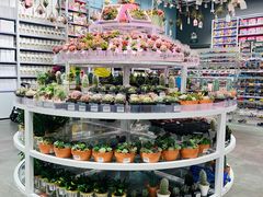 -KKV(深圳kk one 店)