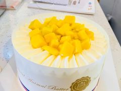 -维尔纳斯·生日蛋糕·动物奶油冰淇淋蛋糕(六里桥店)
