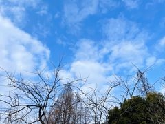 -Manner Coffee(星方汇广场店)