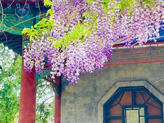 -北京市劳动人民文化宫(太庙)